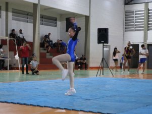 Copa Mineira de Ginástica