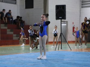 Copa Mineira de Ginástica