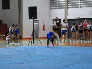 Copa Mineira de Ginástica