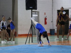 Copa Mineira de Ginástica