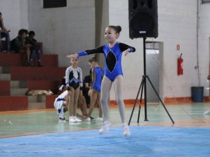 Copa Mineira de Ginástica