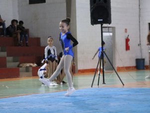 Copa Mineira de Ginástica