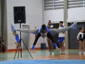 Copa Mineira de Ginástica