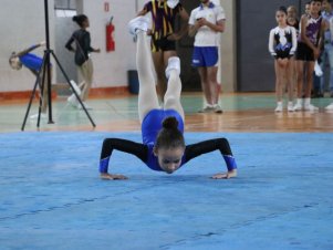 Copa Mineira de Ginástica