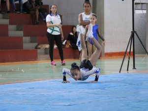 Copa Mineira de Ginástica