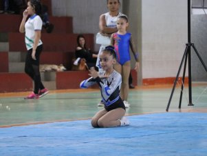 Copa Mineira de Ginástica