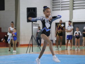 Copa Mineira de Ginástica