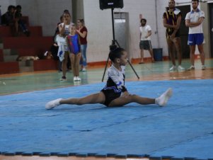 Copa Mineira de Ginástica