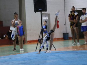 Copa Mineira de Ginástica