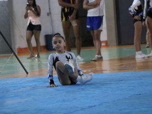 Copa Mineira de Ginástica