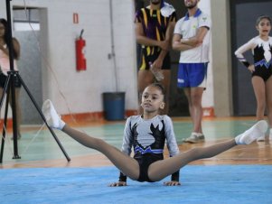 Copa Mineira de Ginástica