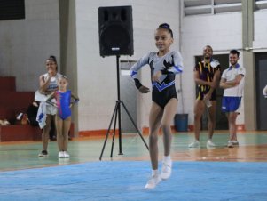 Copa Mineira de Ginástica