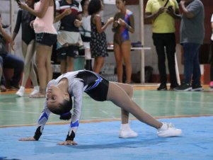 Copa Mineira de Ginástica