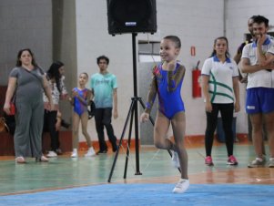 Copa Mineira de Ginástica