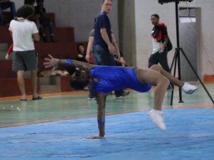 Copa Mineira de Ginástica