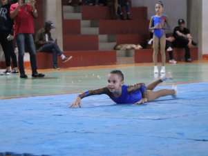 Copa Mineira de Ginástica