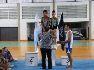 Copa Mineira de Ginástica