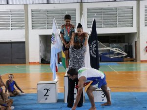 Copa Mineira de Ginástica