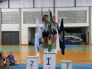 Copa Mineira de Ginástica