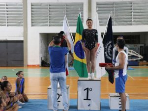 Copa Mineira de Ginástica