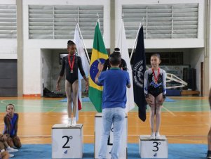 Copa Mineira de Ginástica