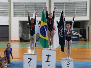 Copa Mineira de Ginástica