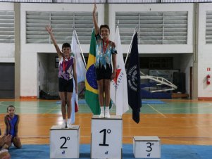 Copa Mineira de Ginástica