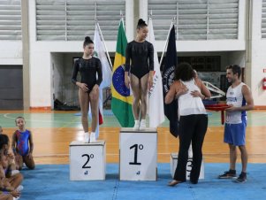 Copa Mineira de Ginástica