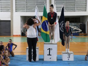 Copa Mineira de Ginástica