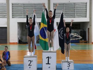 Copa Mineira de Ginástica