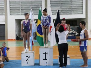 Copa Mineira de Ginástica