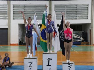 Copa Mineira de Ginástica