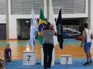 Copa Mineira de Ginástica