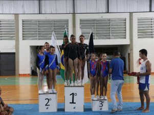 Copa Mineira de Ginástica