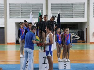 Copa Mineira de Ginástica