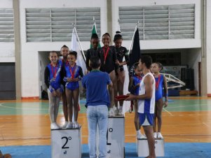 Copa Mineira de Ginástica