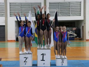 Copa Mineira de Ginástica