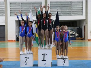 Copa Mineira de Ginástica