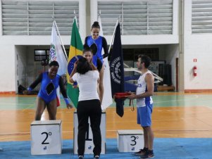 Copa Mineira de Ginástica