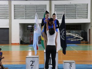 Copa Mineira de Ginástica