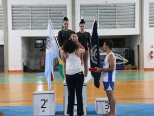 Copa Mineira de Ginástica