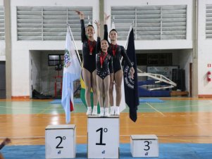 Copa Mineira de Ginástica