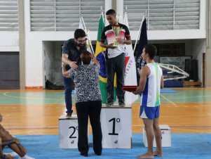 Copa Mineira de Ginástica