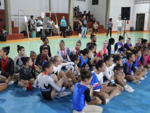 Copa Mineira de Ginástica