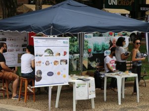 Ciência na Praça