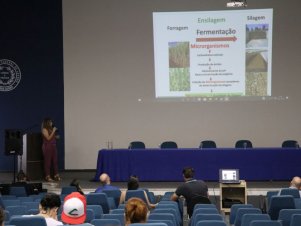 Segundo dia Ciufla Conex e Pós-graduação