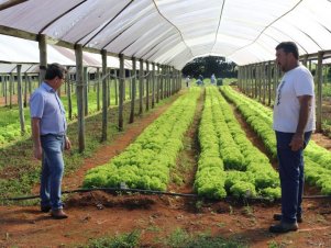 Centro de Desenvolvimento e Transferência de Tecnologia