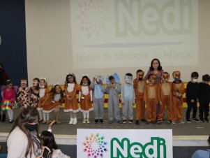 Apresentação Cultural Nedi/UFLA